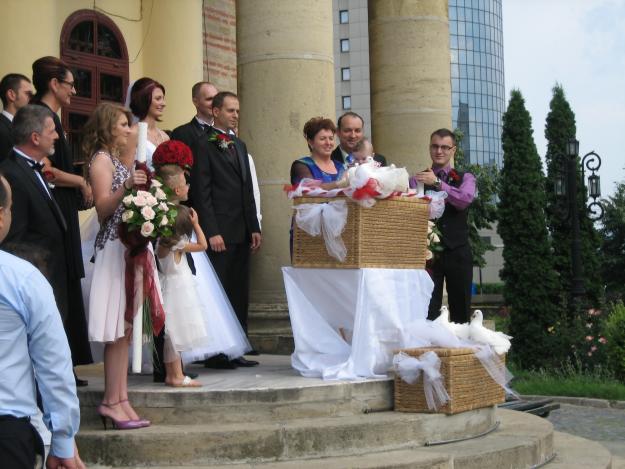 porumbei albi la nunta iasi - Pret | Preturi porumbei albi la nunta iasi