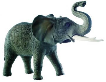 Elefant - Pret | Preturi Elefant