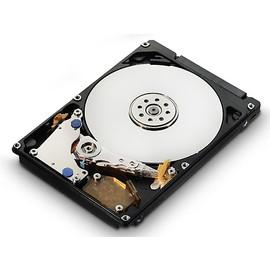 Hitachi 1TB SATA-III 7200 rpm 32MB Deskstar 7K1000.D - Pret | Preturi Hitachi 1TB SATA-III 7200 rpm 32MB Deskstar 7K1000.D