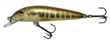 Vobler SALMO Minnow M6F M 9 gr - Pret | Preturi Vobler SALMO Minnow M6F M 9 gr