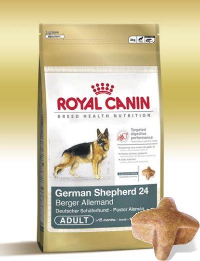 Royal Canin German Shepard Adult+Cadou Recipeient de pastrare a hranei - Pret | Preturi Royal Canin German Shepard Adult+Cadou Recipeient de pastrare a hranei