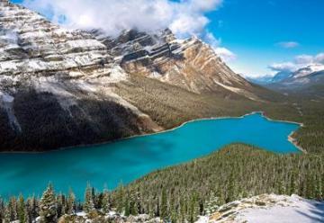 Puzzle Castorland 1500 Peyto Lake, Banff National Park, Canada - Pret | Preturi Puzzle Castorland 1500 Peyto Lake, Banff National Park, Canada