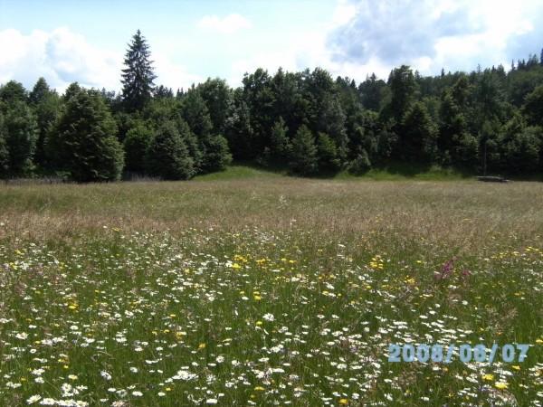 vand teren in Frasin si ocasa de vacanta in salatruc - Pret | Preturi vand teren in Frasin si ocasa de vacanta in salatruc