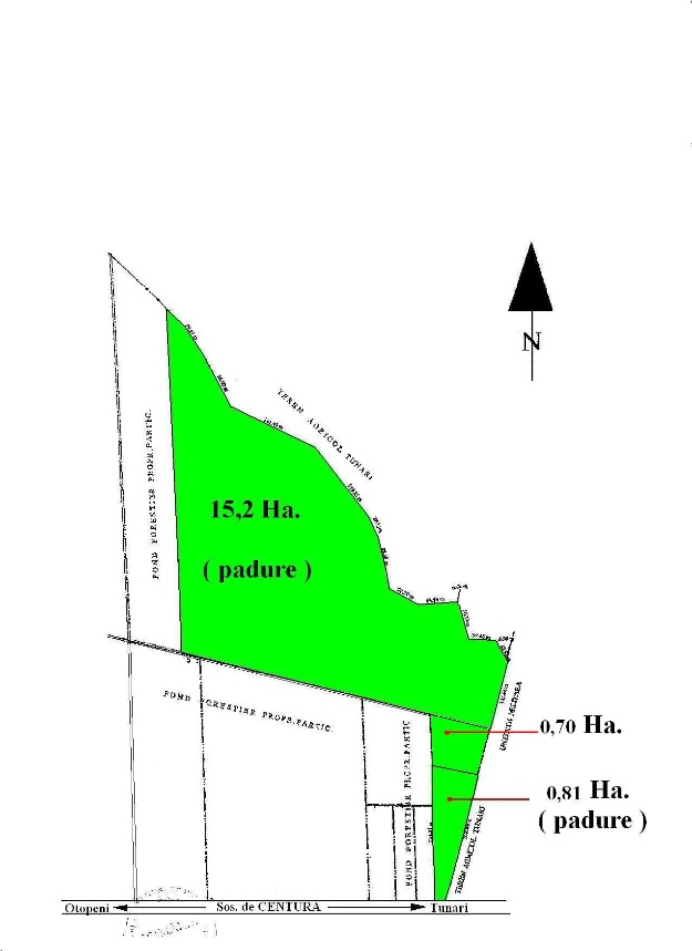 TUNARI - Centura Buc. teren forestier - Pret | Preturi TUNARI - Centura Buc. teren forestier