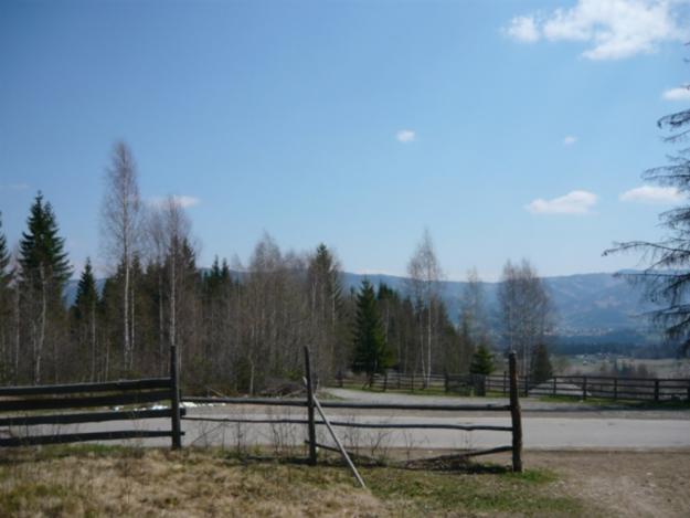 Bucovina Nordul Moldovei Vatra Dornei 1250 mp - 6000m - Pret | Preturi Bucovina Nordul Moldovei Vatra Dornei 1250 mp - 6000m