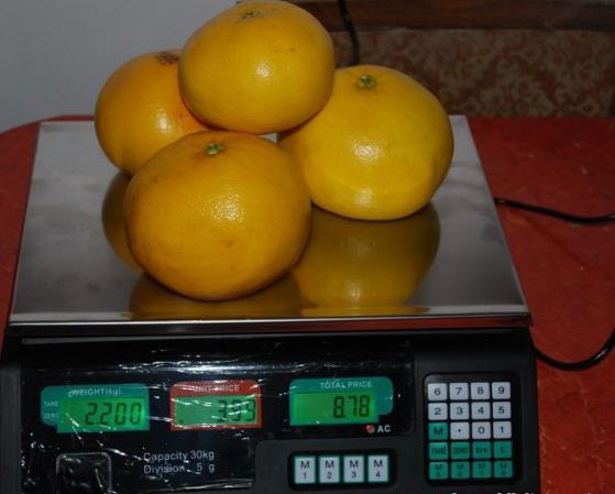 Cantar electronic alimentar piata -35 kg - Pret | Preturi Cantar electronic alimentar piata -35 kg