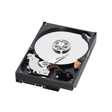 Hard Disk Western Digital 750 GB  RE2 Green Power, Serial ATA2, - Pret | Preturi Hard Disk Western Digital 750 GB  RE2 Green Power, Serial ATA2,