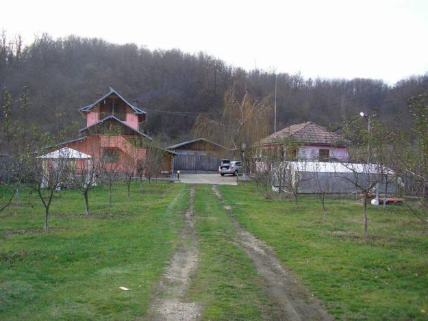  - Pret | Preturi 