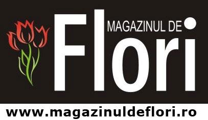 MAGAZINUL DE FLORI - flower delivery romania - Pret | Preturi MAGAZINUL DE FLORI - flower delivery romania