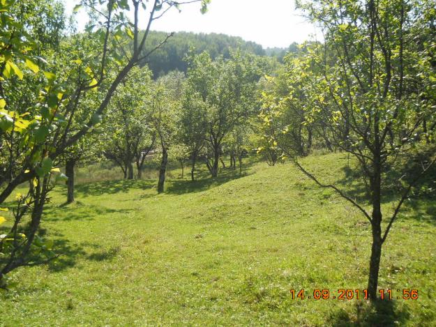 teren intravilan dedicat marilor investitori breaza - adunati 12500mp - Pret | Preturi teren intravilan dedicat marilor investitori breaza - adunati 12500mp
