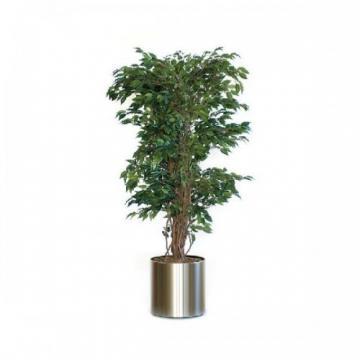 Ficus din plastic si matase, inaltime 150cm, VEPA BINS Liana - varicoloured - Pret | Preturi Ficus din plastic si matase, inaltime 150cm, VEPA BINS Liana - varicoloured