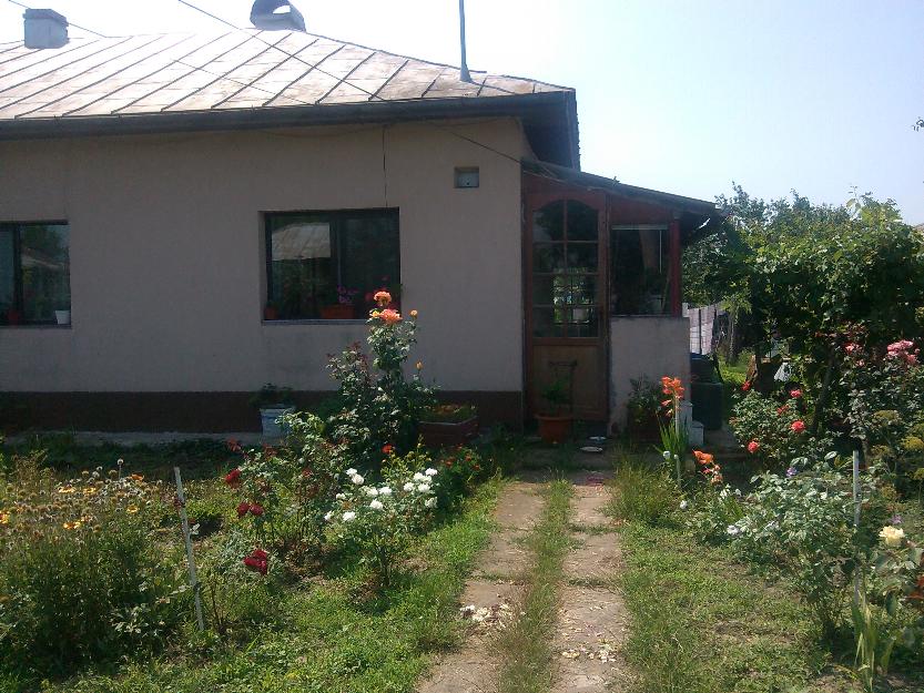 casa de vanzare Rasuceni jud. Giurgiu - Pret | Preturi casa de vanzare Rasuceni jud. Giurgiu