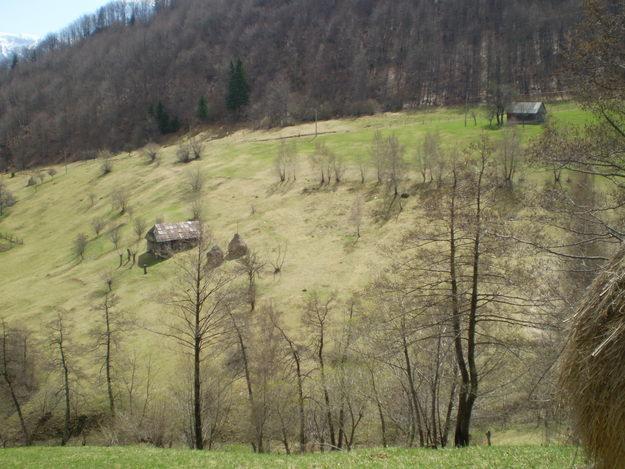 teren de vanzare zona bran - Pret | Preturi teren de vanzare zona bran