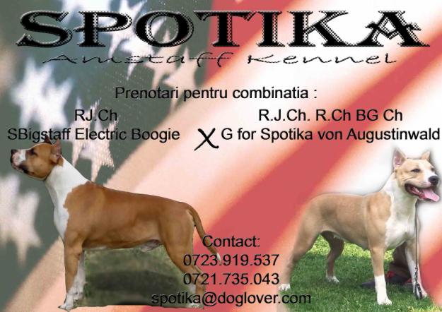  - Pret | Preturi 