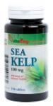 Vitaking Sea Kelp- Alga marinÄƒ 100mg - 250 comprimate - Pret | Preturi Vitaking Sea Kelp- Alga marinÄƒ 100mg - 250 comprimate