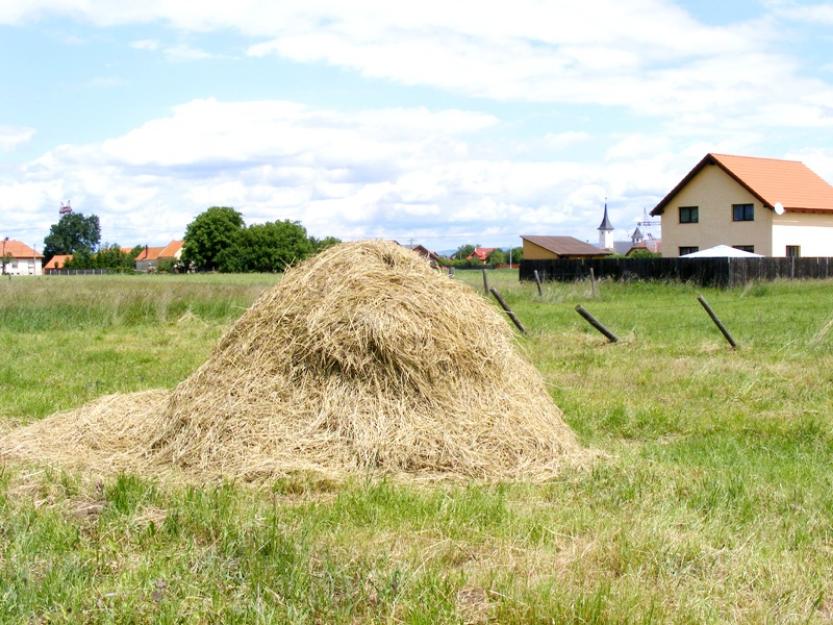 Teren Stupini, str. Surlasului, 1100 mp. - Pret | Preturi Teren Stupini, str. Surlasului, 1100 mp.