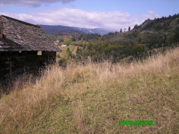 teren de vanzare culuarul rucar-bran - Pret | Preturi teren de vanzare culuarul rucar-bran