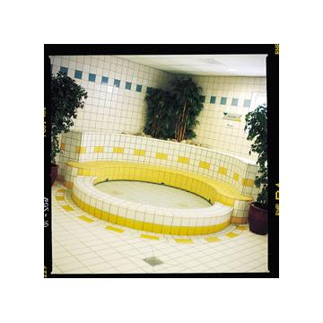 Placaj ceramic piscine - Pret | Preturi Placaj ceramic piscine