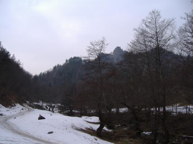 teren de vanzare munte caciulata{CALINESTI) - Pret | Preturi teren de vanzare munte caciulata{CALINESTI)