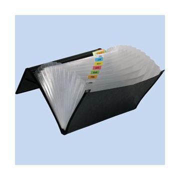 Mapa plastic-elastic cu 13 compartimente interioare - Pret | Preturi Mapa plastic-elastic cu 13 compartimente interioare
