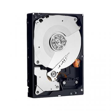 Hard Disk Western Digital 750 GB , Serial ATA2, 7200rpm, 32MB - Pret | Preturi Hard Disk Western Digital 750 GB , Serial ATA2, 7200rpm, 32MB