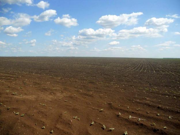 40 hectare, teren agricol, in jud Teleorman, loc Contesti - Pret | Preturi 40 hectare, teren agricol, in jud Teleorman, loc Contesti