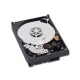 Hard disk WESTERN DIGITAL Desktop Caviar Blue, WD5000AAKX, 7200 rpm, 500GB, SATA 3 - Pret | Preturi Hard disk WESTERN DIGITAL Desktop Caviar Blue, WD5000AAKX, 7200 rpm, 500GB, SATA 3