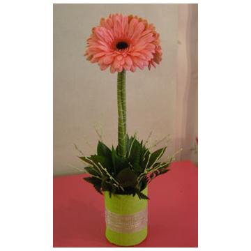 Aranjament floral copac - Pret | Preturi Aranjament floral copac