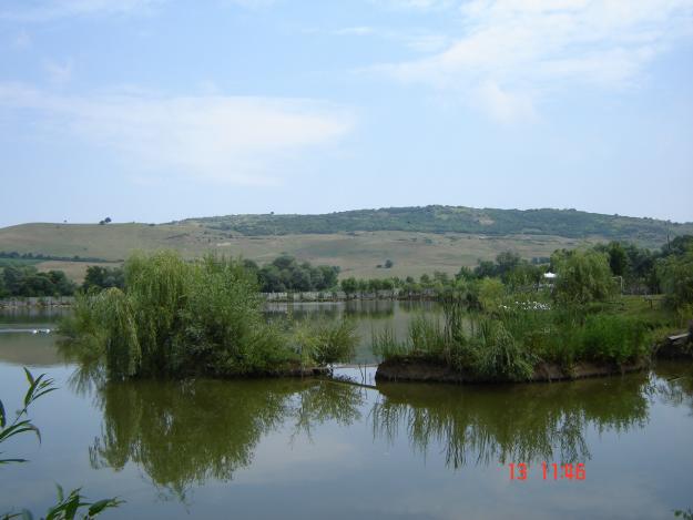 balta piscicola - Pret | Preturi balta piscicola