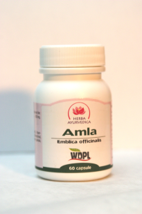 Amla 500mg *60cps - Pret | Preturi Amla 500mg *60cps