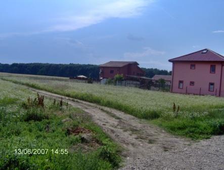 Vanzare - Teren intravilan Buftea padurea Raioasa - Pret | Preturi Vanzare - Teren intravilan Buftea padurea Raioasa