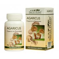 Agaricus *60cpr - Pret | Preturi Agaricus *60cpr