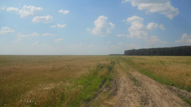 40 hectare, teren agricol, in jud Teleorman, loc Cosmesti - Pret | Preturi 40 hectare, teren agricol, in jud Teleorman, loc Cosmesti