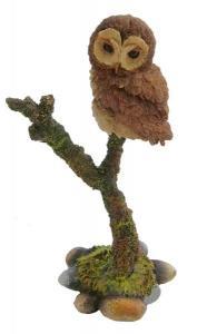 Tawny Owl - Pret | Preturi Tawny Owl