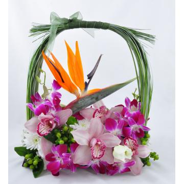 Aranjament floral cu orhidee - Pret | Preturi Aranjament floral cu orhidee