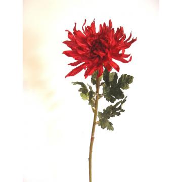 Crizantema - Pret | Preturi Crizantema