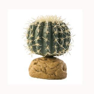 Plante Exo Terra Barrel Cactus M PT2985 - Pret | Preturi Plante Exo Terra Barrel Cactus M PT2985
