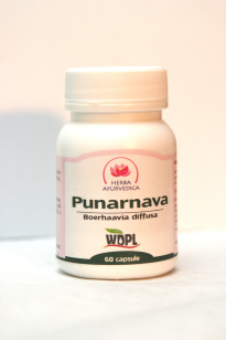 Punarnava 450mg *60cps - Pret | Preturi Punarnava 450mg *60cps