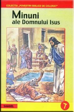 Minuni ale Domnului Isus - Pret | Preturi Minuni ale Domnului Isus