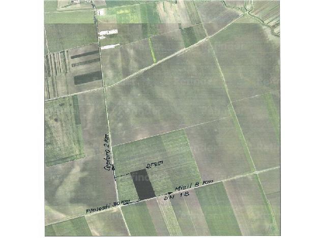 Vanzare teren intravilan, ideal parc fotovoltaic, Mizil, Prahova - Pret | Preturi Vanzare teren intravilan, ideal parc fotovoltaic, Mizil, Prahova