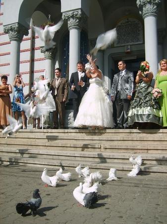 porumbei albi pentru nunti - Pret | Preturi porumbei albi pentru nunti