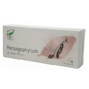 Harpagophytum *30cps - Pret | Preturi Harpagophytum *30cps