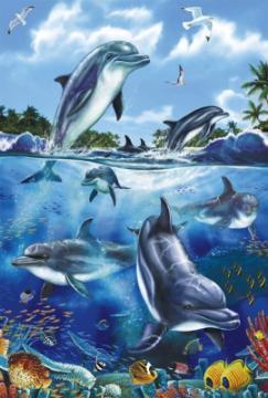 Puzzle Schmidt 60 Dolphins - Pret | Preturi Puzzle Schmidt 60 Dolphins