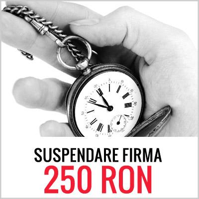 Suspendare Activitate Firma 250 Lei - Pret | Preturi Suspendare Activitate Firma 250 Lei