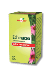 Echinacea - Pret | Preturi Echinacea