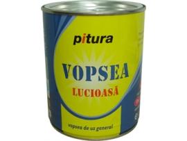 Vopsea Pitura Alb Polar 0.75 l - Pret | Preturi Vopsea Pitura Alb Polar 0.75 l