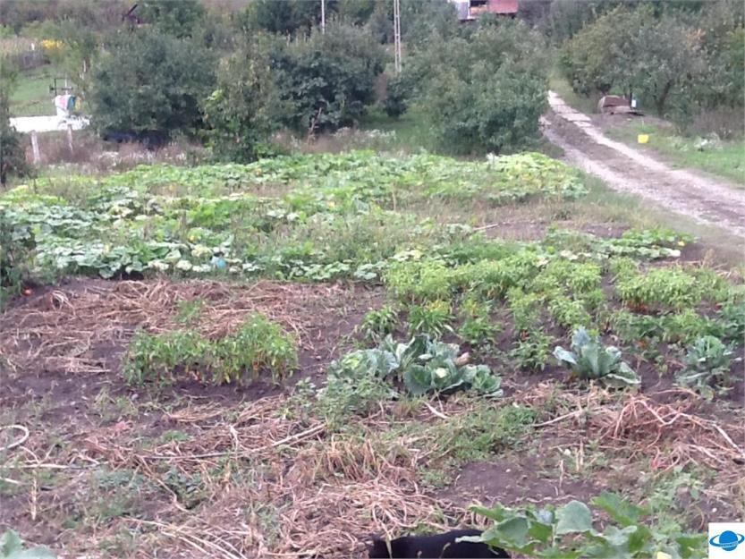 2 parcele de pamant, Corunca, Tg. Mures - Pret | Preturi 2 parcele de pamant, Corunca, Tg. Mures