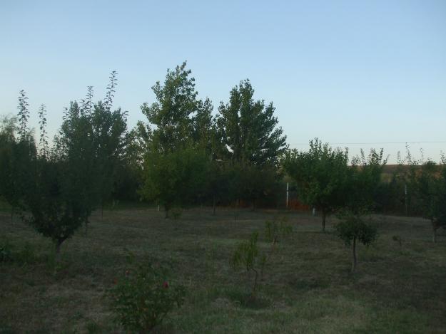 Vand teren zona Capidava - Pret | Preturi Vand teren zona Capidava