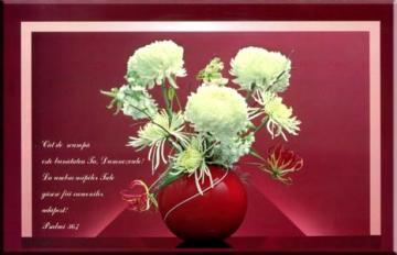 Felicitare FVS2 - Pret | Preturi Felicitare FVS2