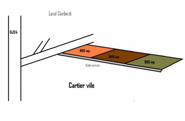 Teren Lunca Cetatuii - Pret | Preturi Teren Lunca Cetatuii